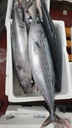 Bonito 1/2