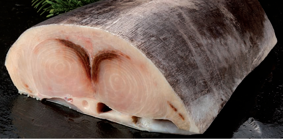 Llom Espasa