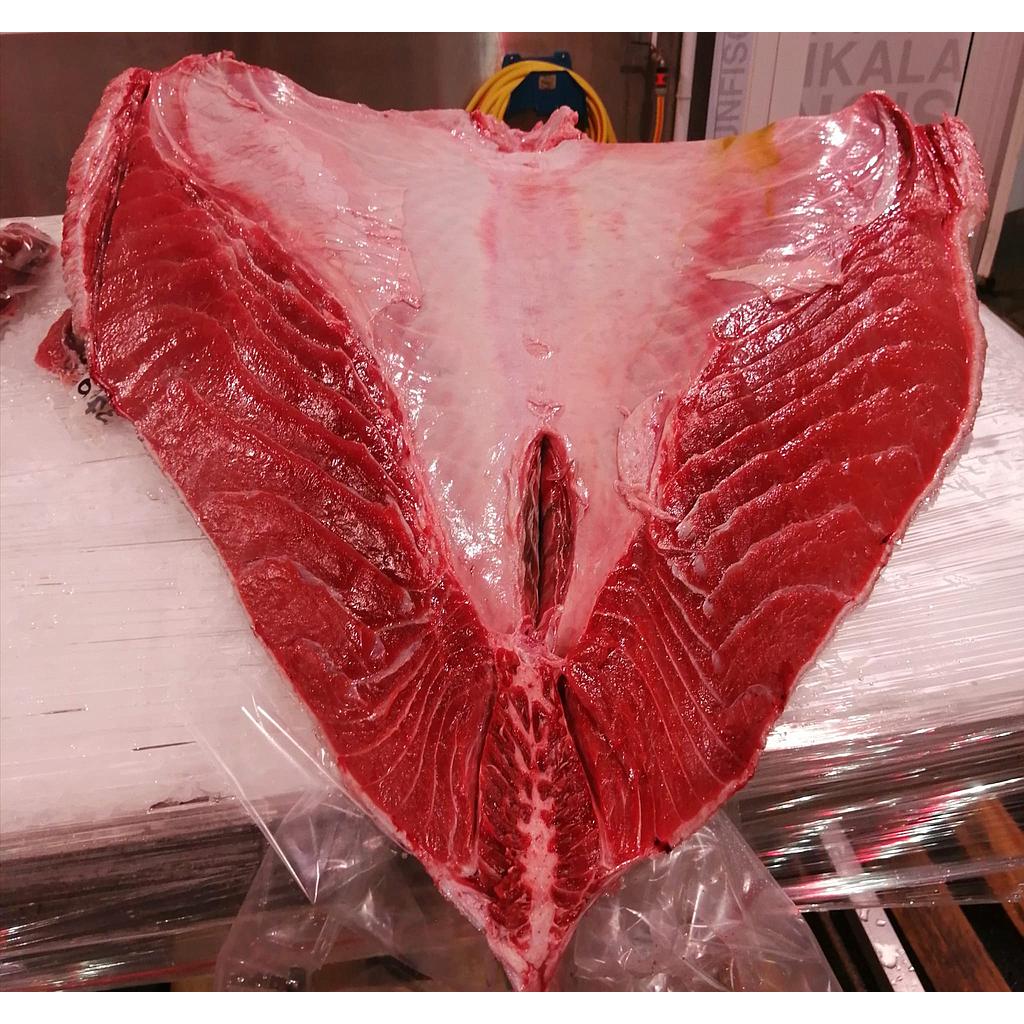 Atun Ventresca BF Salvaje