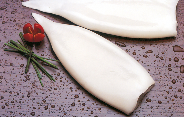 Pota Tubo Limpio Sloani 180-220 g/pz 7kg