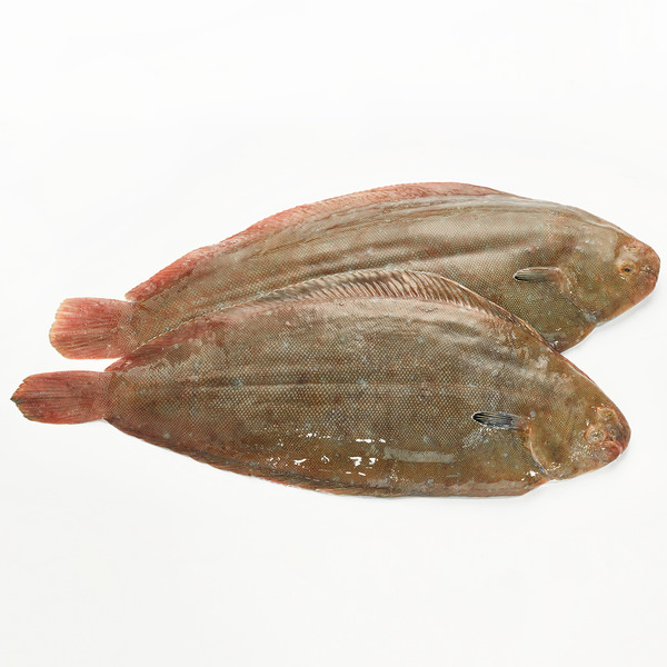 Lenguado Pelado Vivero 300-400 g/pz Cong