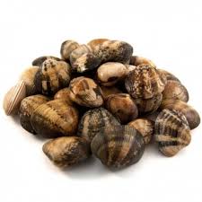 Almeja Cultivo 60-80 pz/kg (P) 1kg