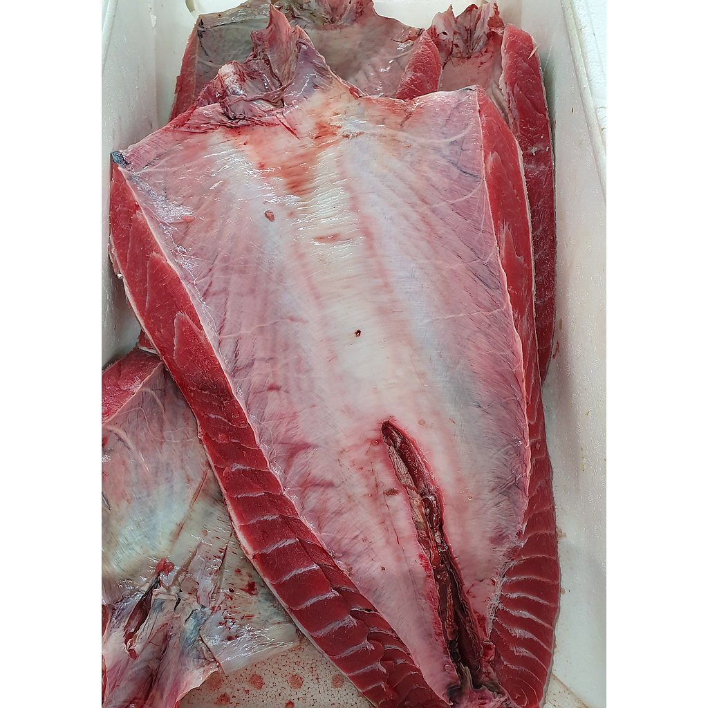 Tonyina Parpatana Pulida 300-500 g/pça Cong