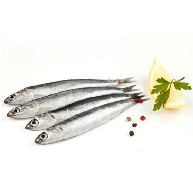 Seitó Fresc G