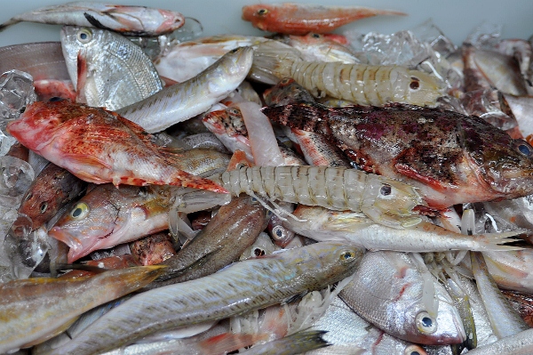 Pescado Roca 3kg