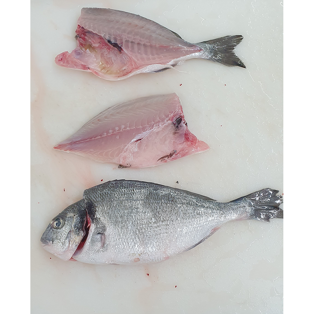 Dorada Piscifactoria Nacional 200-300 g/pz