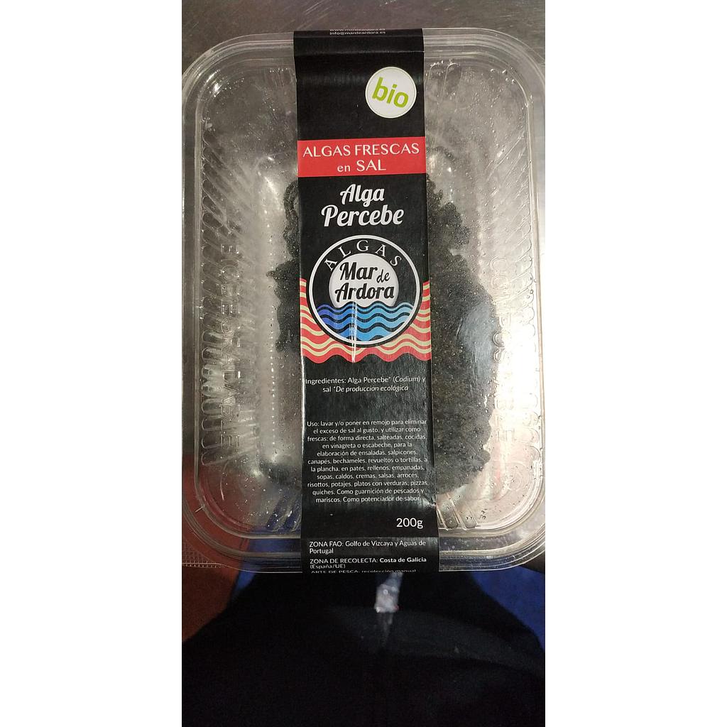 Alga Codium 200gr