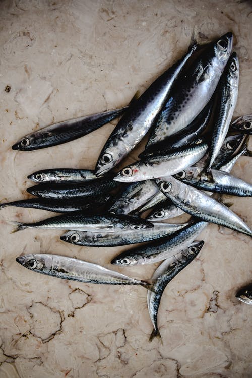 Anchoa Cantabrico Casa Santoña (0) 25 fl/ud 220g