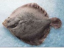 Rodaballo Vivero 2000-2500 g/pz