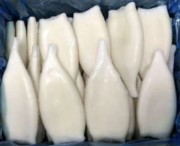 Pota Tubo Limpio Illex Fishook 140-180 g/pz (18-21) 7kg