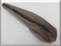 Merluza Entera HGT Austral 1800-2500 g/pz