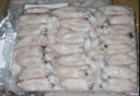 Calamar Puntilla Marruecos 10kg