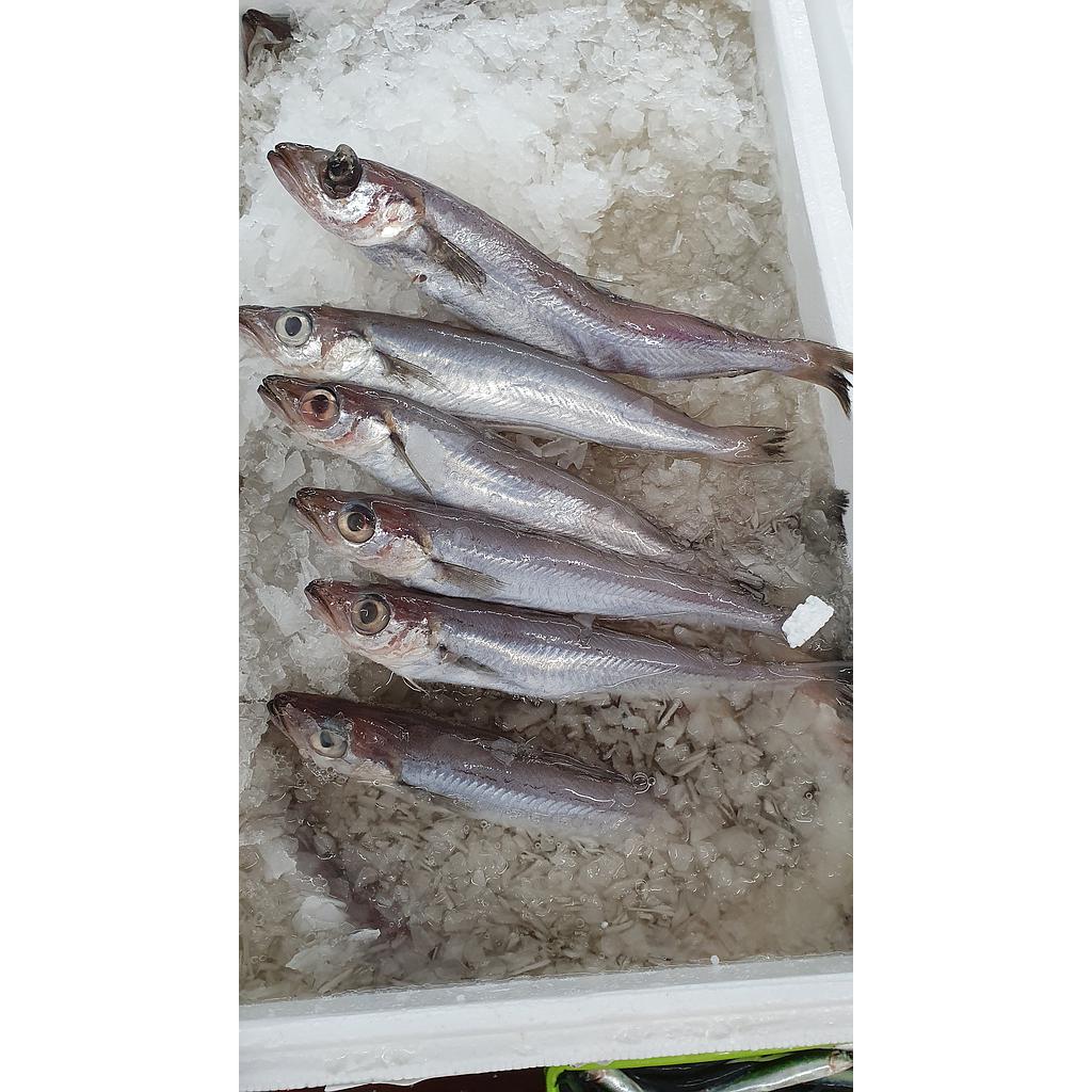 Pez Sable 600-1000 g/pz