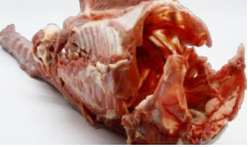 Ànec Carcasses Congelades