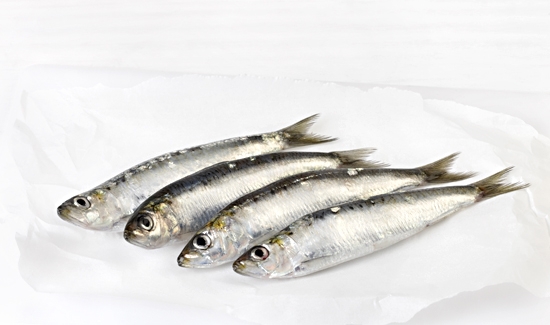 Sardina Fresca (G)
