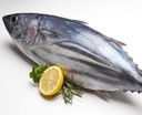 Bonito 6/7