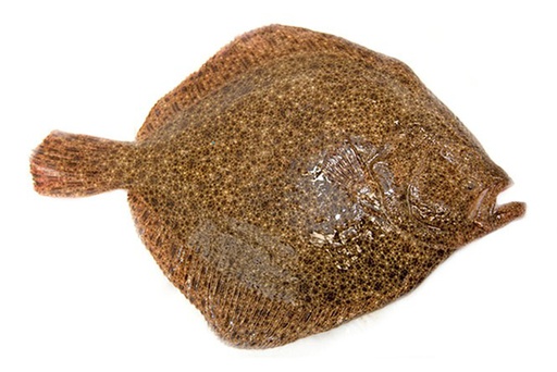 [7587] Rodaballo Salvaje 1000-2000 g/pz