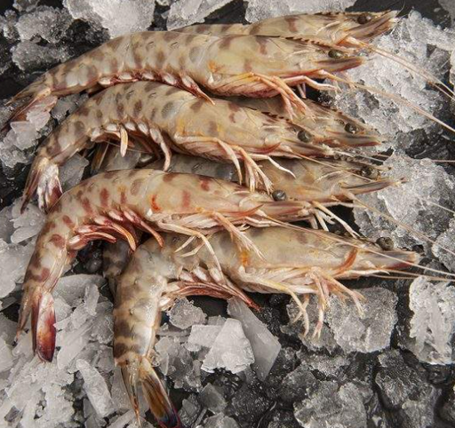 [C3310581] Langostino Tunez 50-65 g/pz (AA) (16-20) 12x1kg