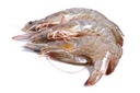 [C3310588] Langostino Vannamei 25-35 g/pz (30-40) 10x2kg