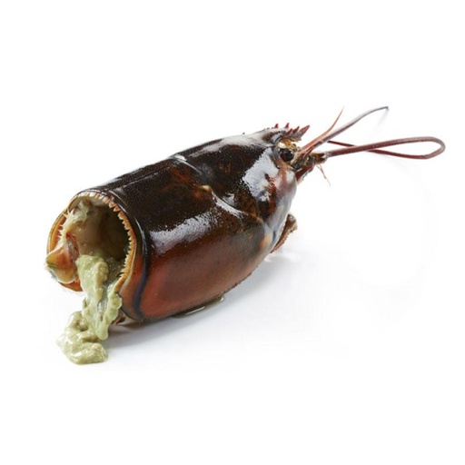 [SL-LLC003] Cabezas Bogavante Canadá C/7,26kg