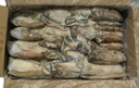 [7160] Sepia Fresca 200-400 g/pz