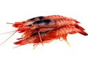 [0972] Gamba Allistat Cola 12X1 kg