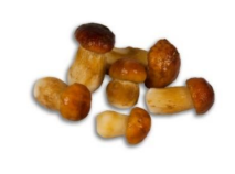 [7400003] Boletus Enteros 2-4 cm/pz Petras 5x1kg