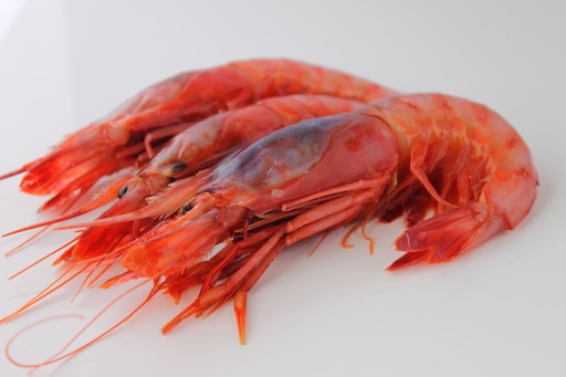 [C3315423] Gamba Alistada 38-42 pz/kg (A1) 6x±2kg