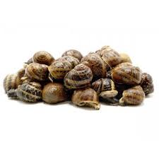 [2162] Caracol Bover 8x1kg