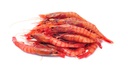 [7262] Gamba Playa (P)