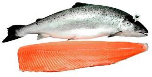 [0012] Salmon Ahumado Entero Noruego 1000-1400 g/pz