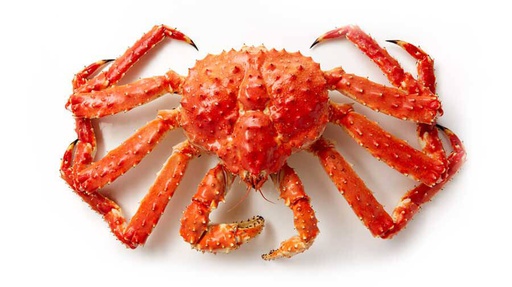 [9900] Cangrejo Real (King Crab)