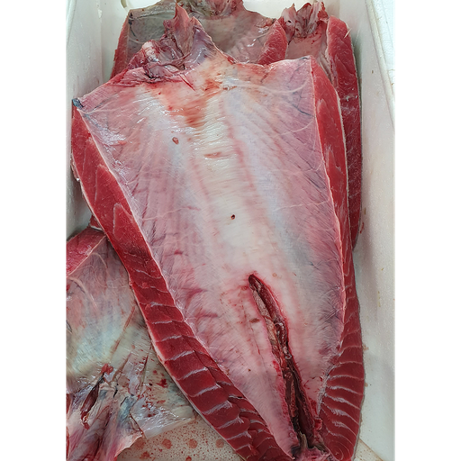 [704PA] Tonyina Parpatana Pulida 300-500 g/pça Cong