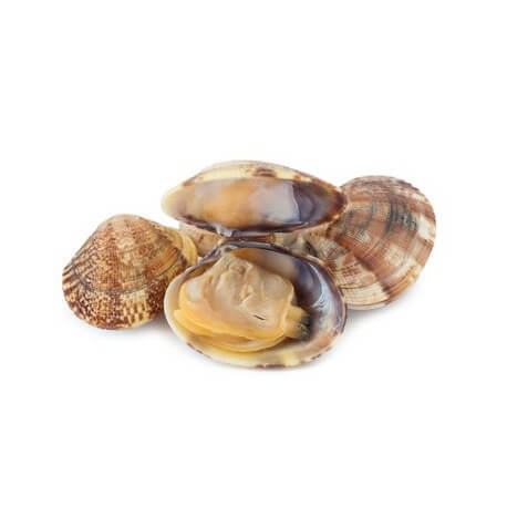 [721G] Cloïssa 2 Fina 1kg