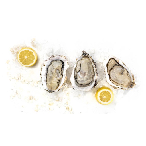 [740EM] Ostra sabrosa n3  ( 24 uni)